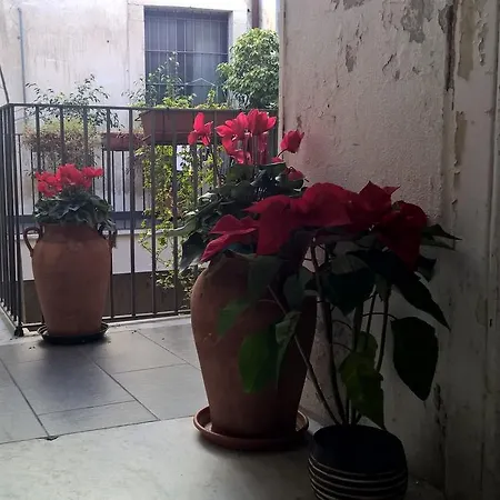 Amenano Appartamento Catania